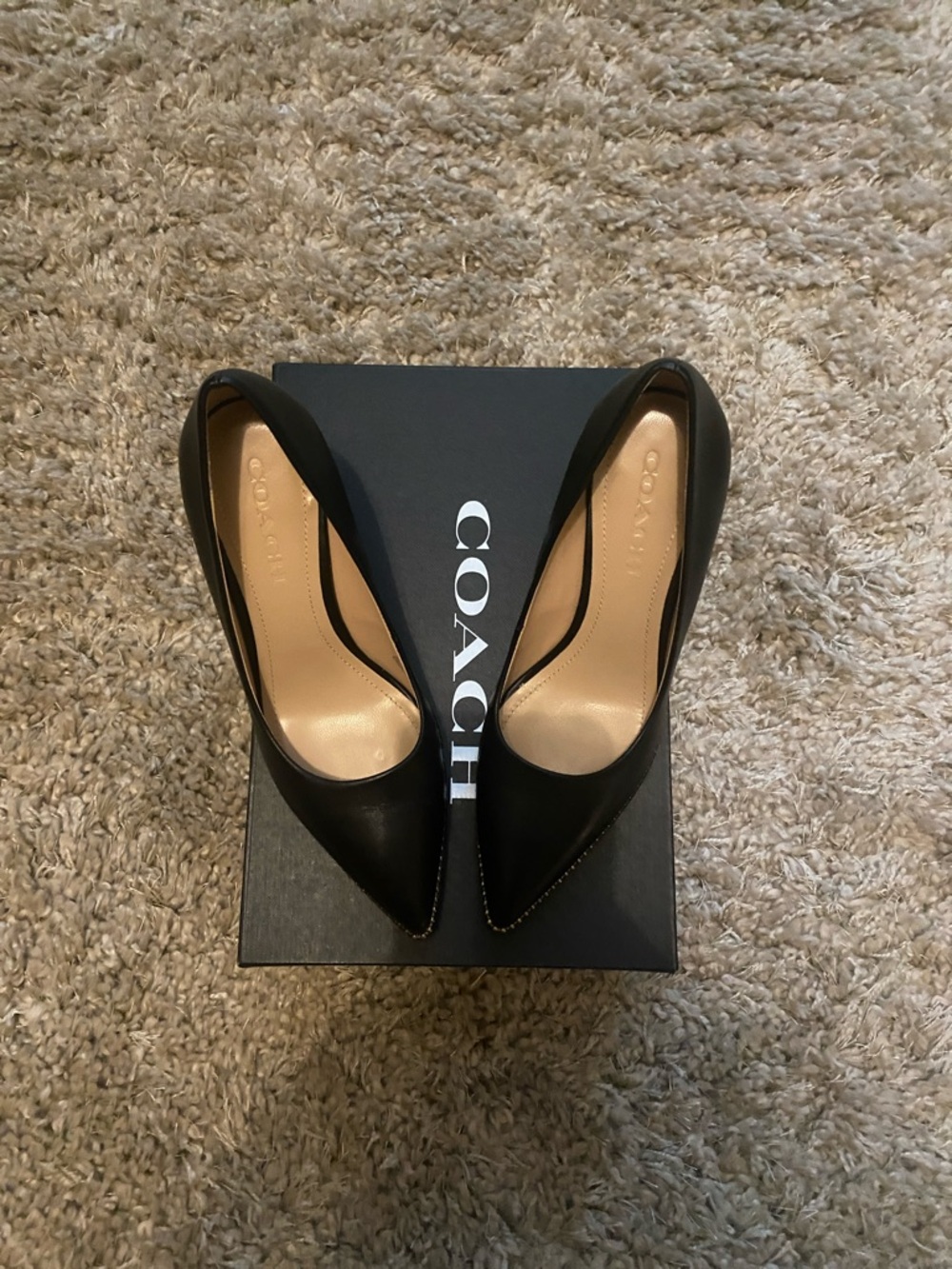 Coach Waverly 85 BChain Black Pointed Toe Leather Heels with Gold Stud Trim - Picture 3 of 10